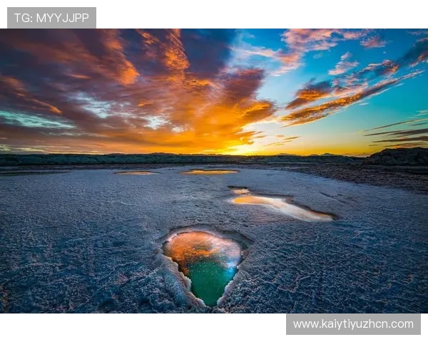 畅游开云网址入口，开启无尽的网络探索之旅