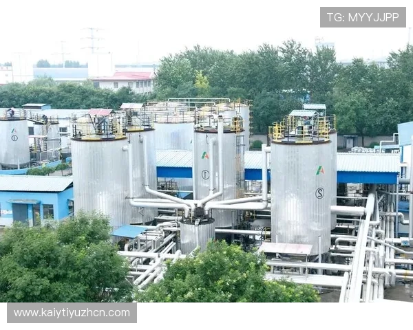 通过开云网站入口官网获取独家折扣，购物更省钱的方法